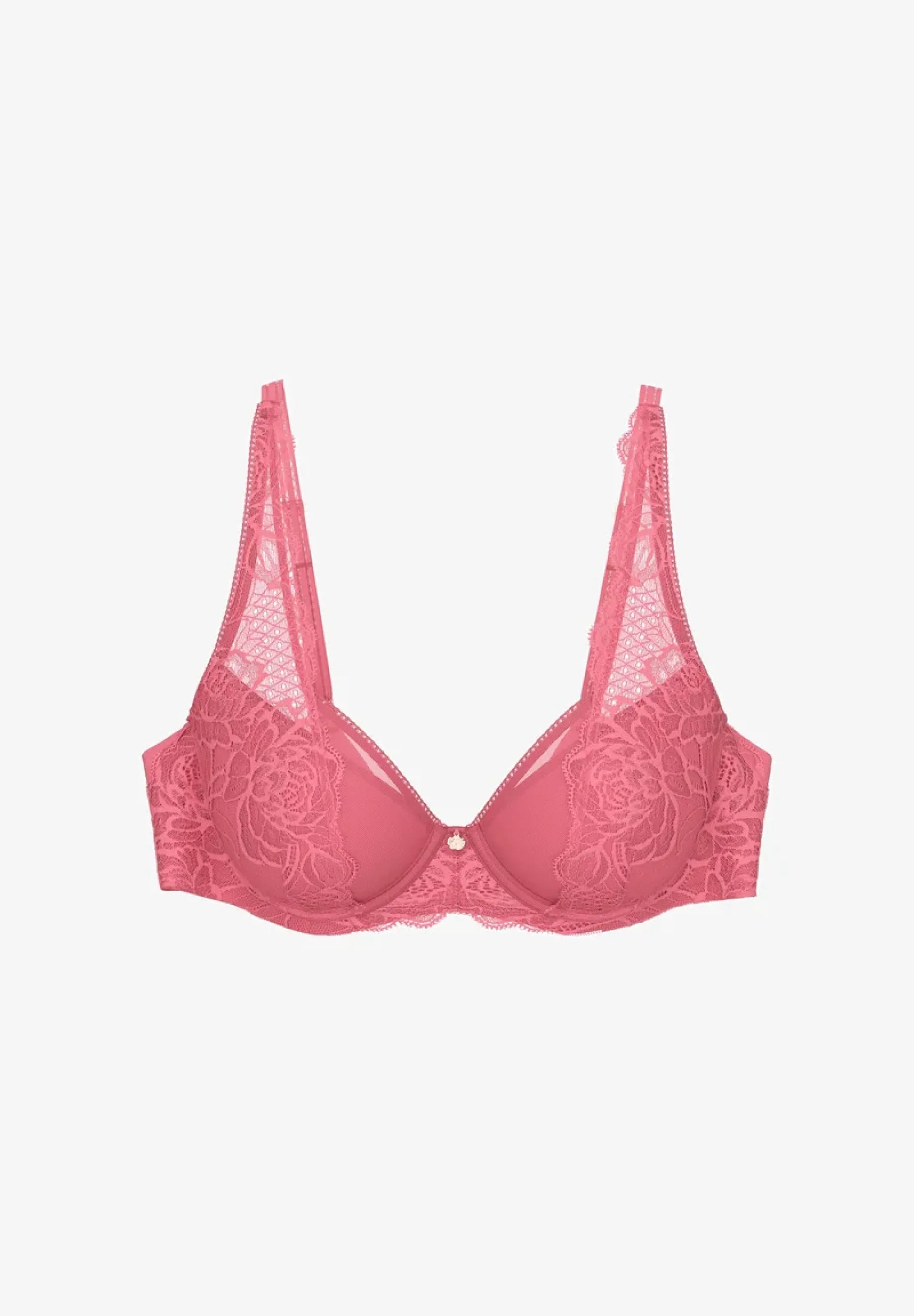 Triumph BH Wild Rose
