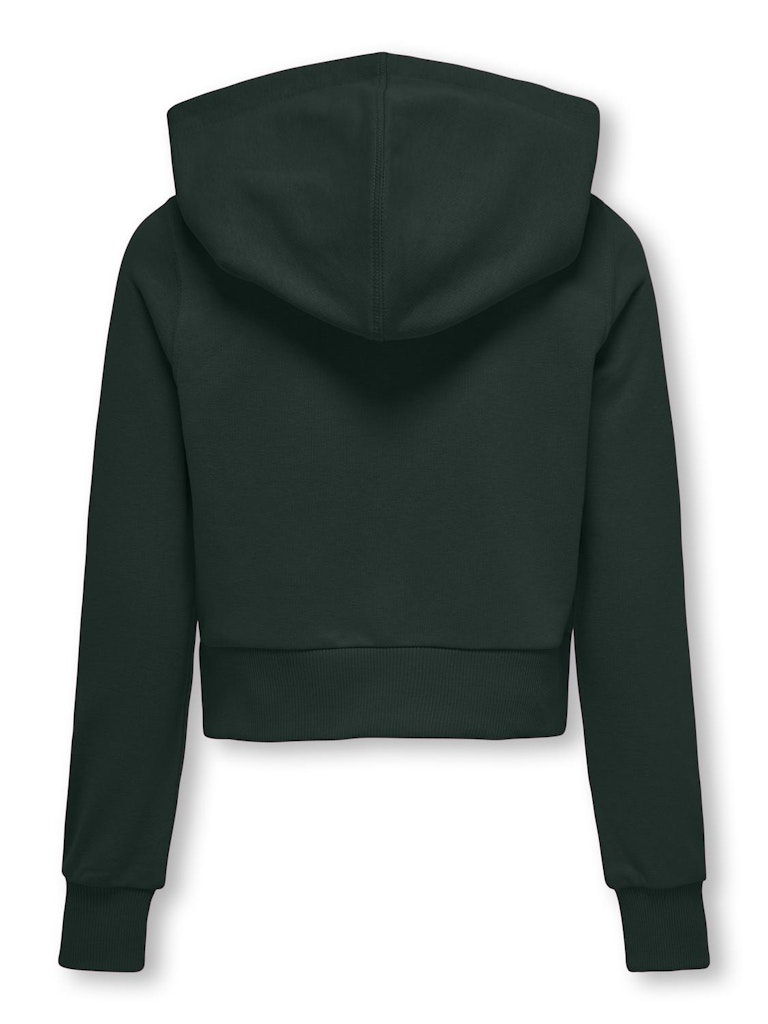 Only Mädchen Sweats & Sweatjacken Scarab