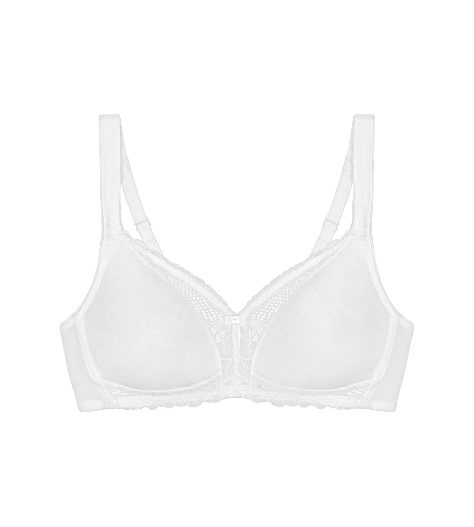 Triumph BH White