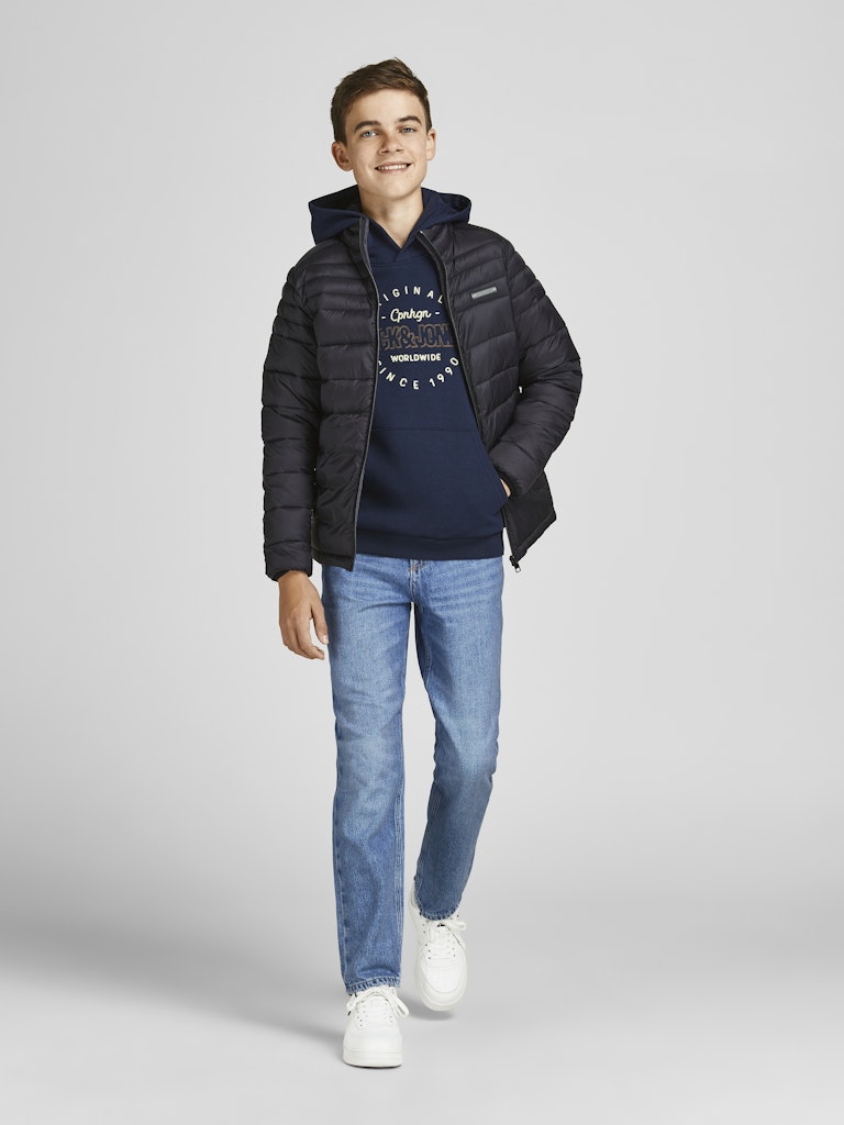 Jack & Jones Jungen Hosen & Shorts Blue Denim