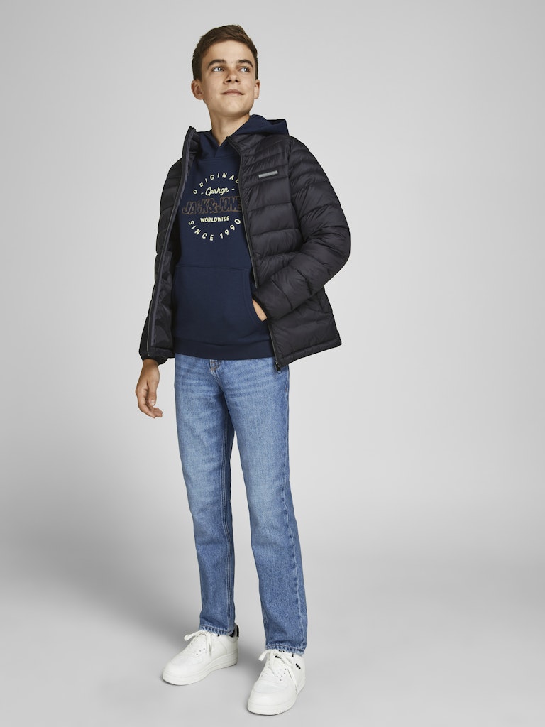 Jack & Jones Jungen Hosen & Shorts Blue Denim