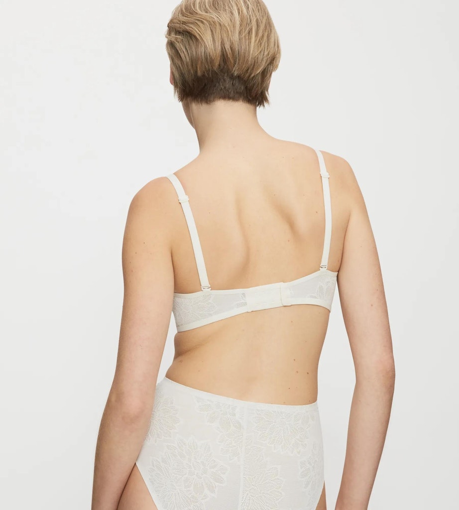 Triumph BH Chrysanthe
