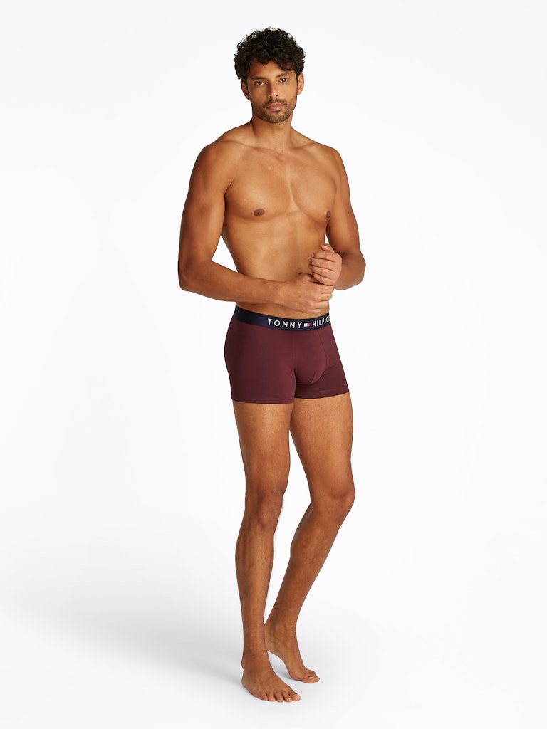 Tommy Hilfiger Pant Vlp Purple