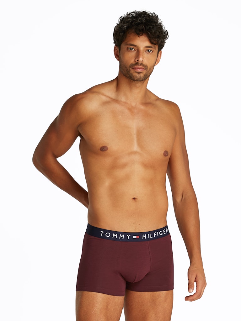Tommy Hilfiger Pant Vlp Purple
