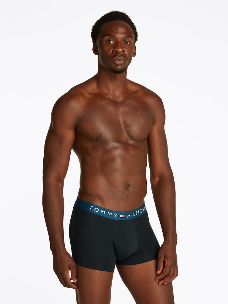 Tommy Hilfiger Pant Tv Blue