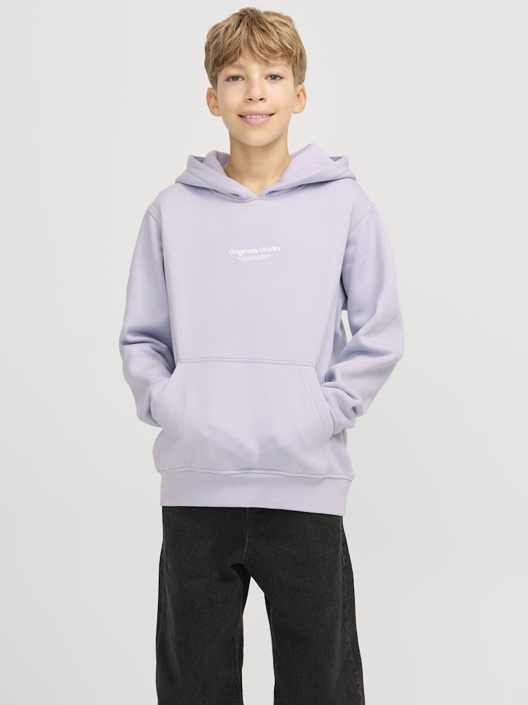 Jack & Jones Jungen Sweats & Sweatjacken Cosmic Sky