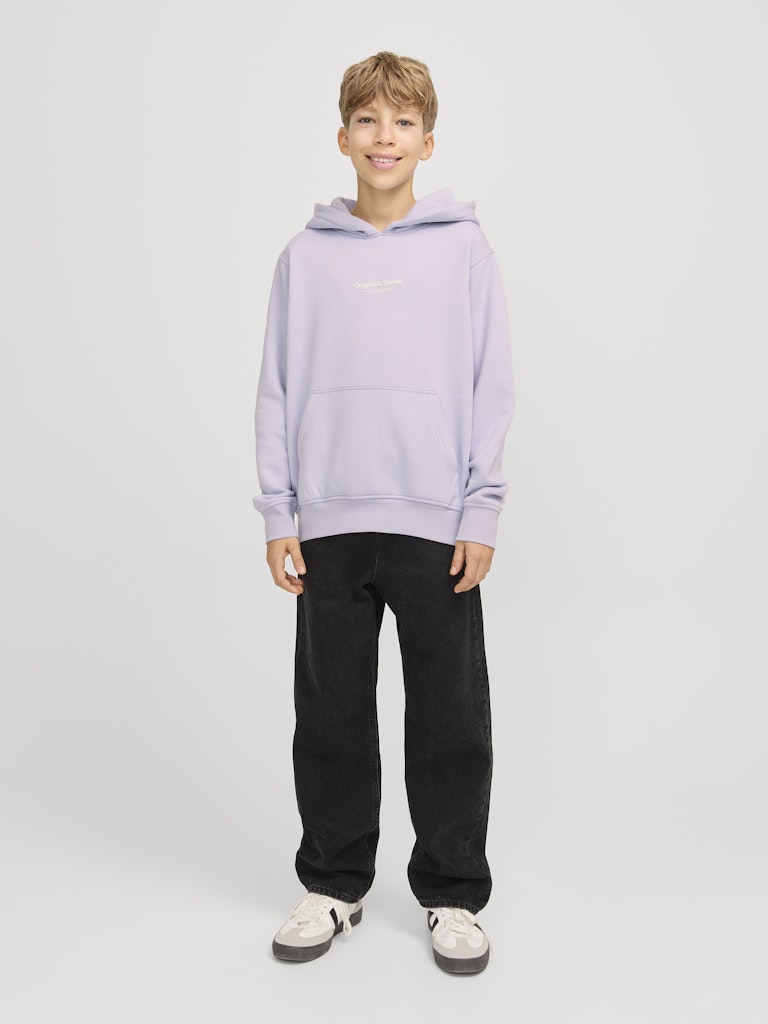 Jack & Jones Jungen Sweats & Sweatjacken Cosmic Sky