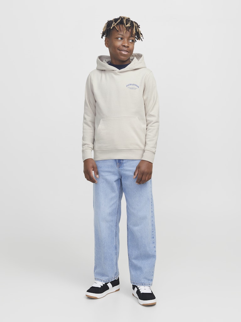 Jack & Jones Jungen Sweats & Sweatjacken Moonbeam