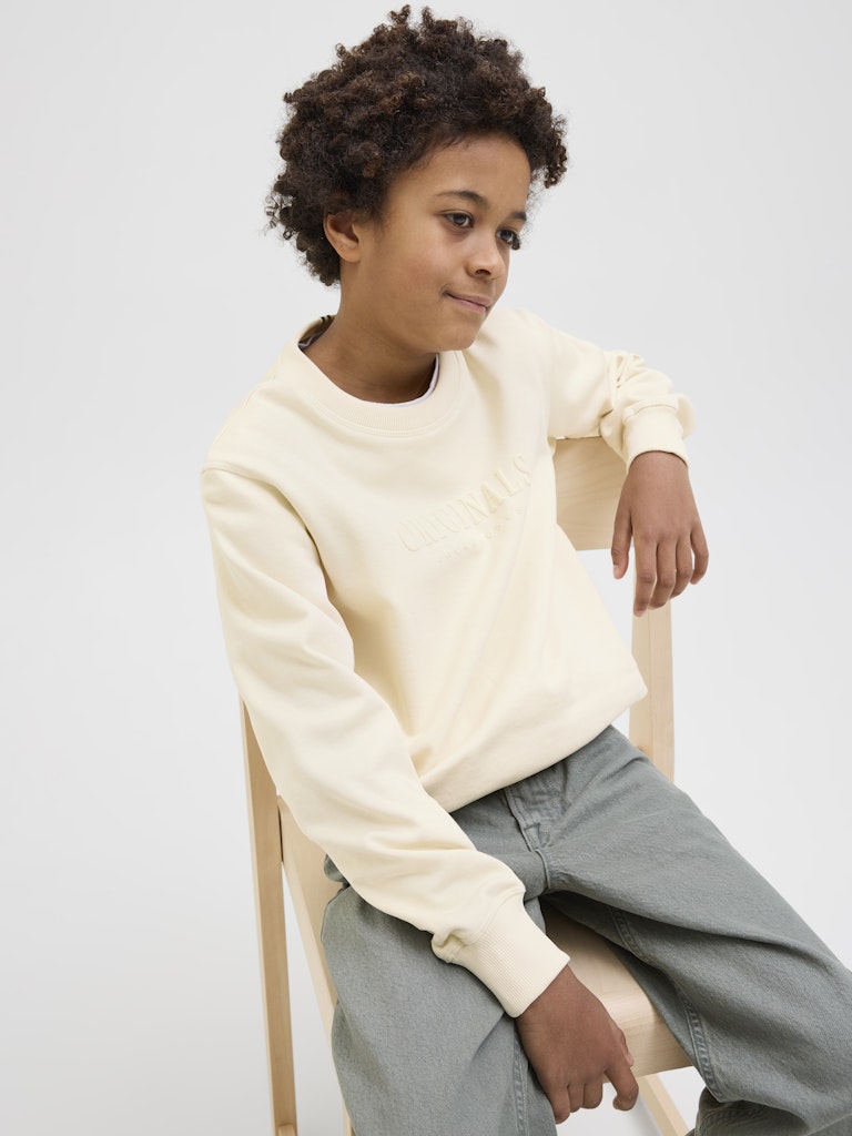Jack & Jones Jungen Sweats & Sweatjacken Antique White