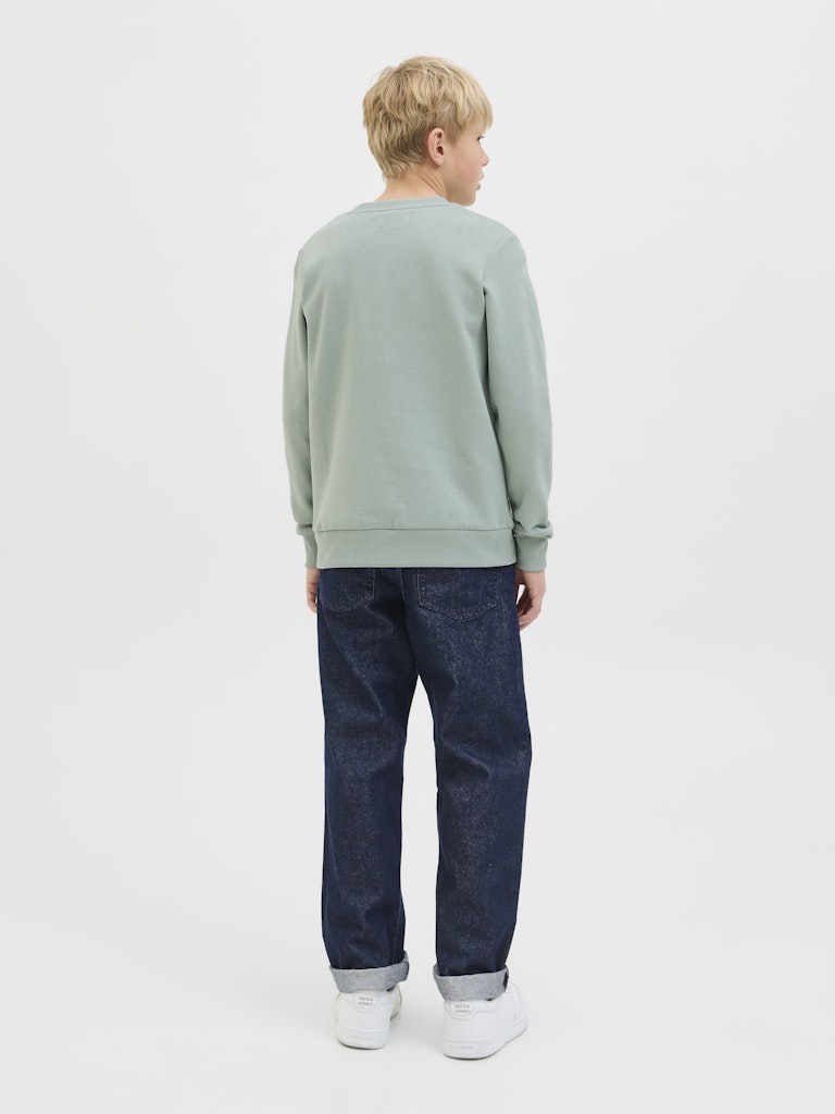 Jack & Jones Jungen Sweats & Sweatjacken Iceberg Green