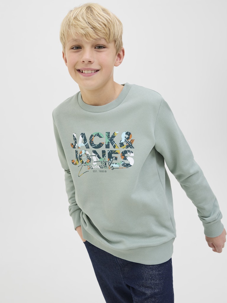 Jack & Jones Jungen Sweats & Sweatjacken Iceberg Green