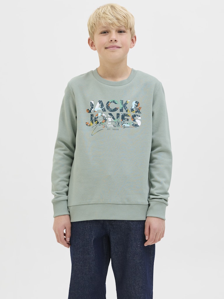 Jack & Jones Jungen Sweats & Sweatjacken Iceberg Green
