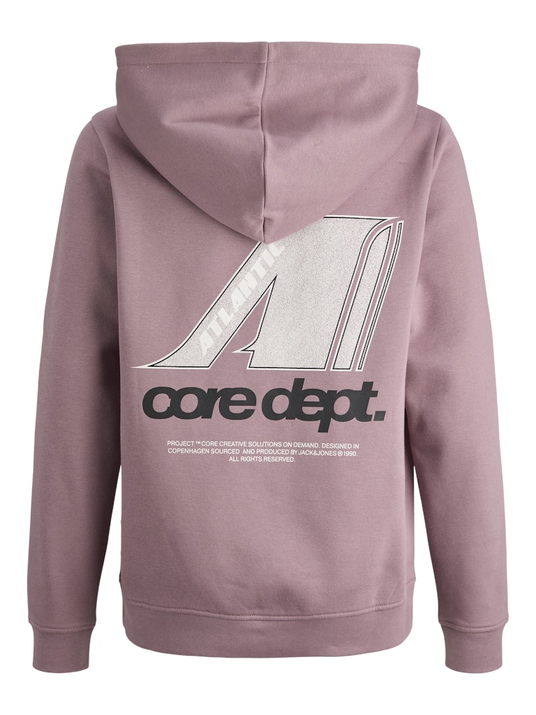Jack & Jones Jungen Sweats & Sweatjacken Grape Shake