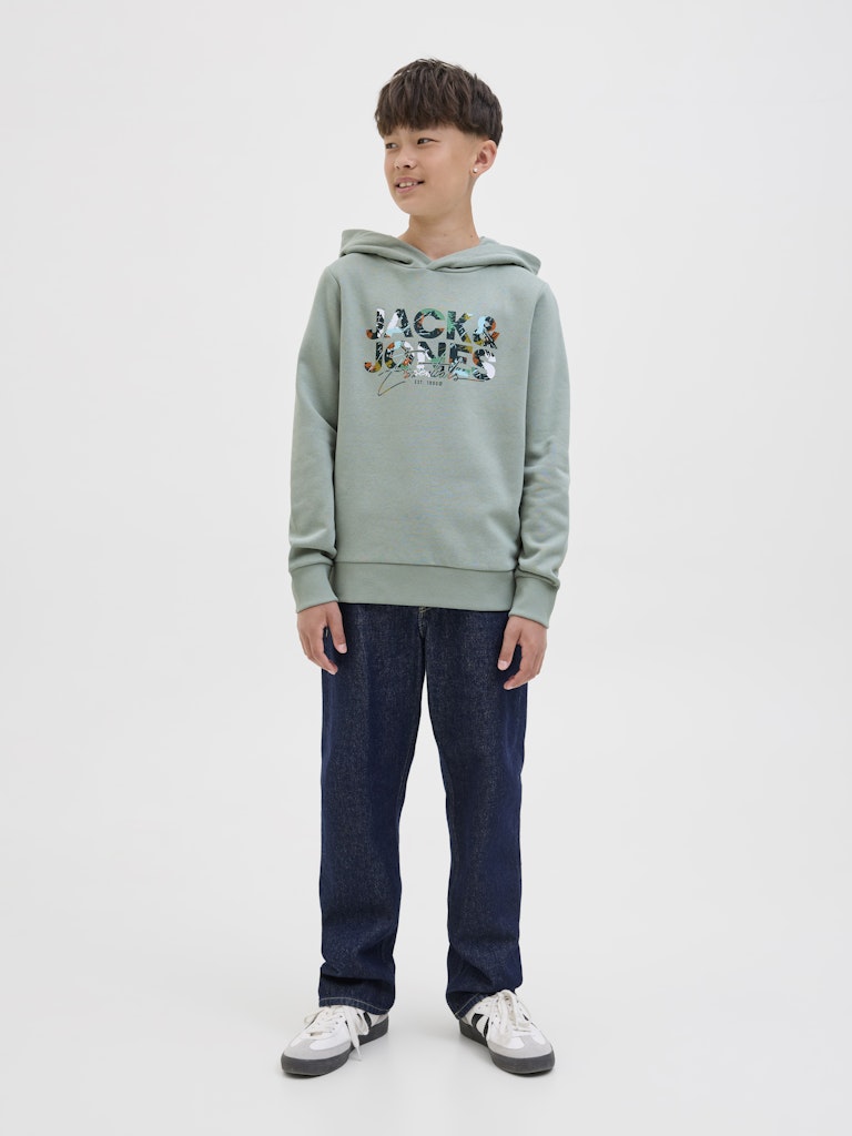 Jack & Jones Jungen Sweats & Sweatjacken Iceberg Green