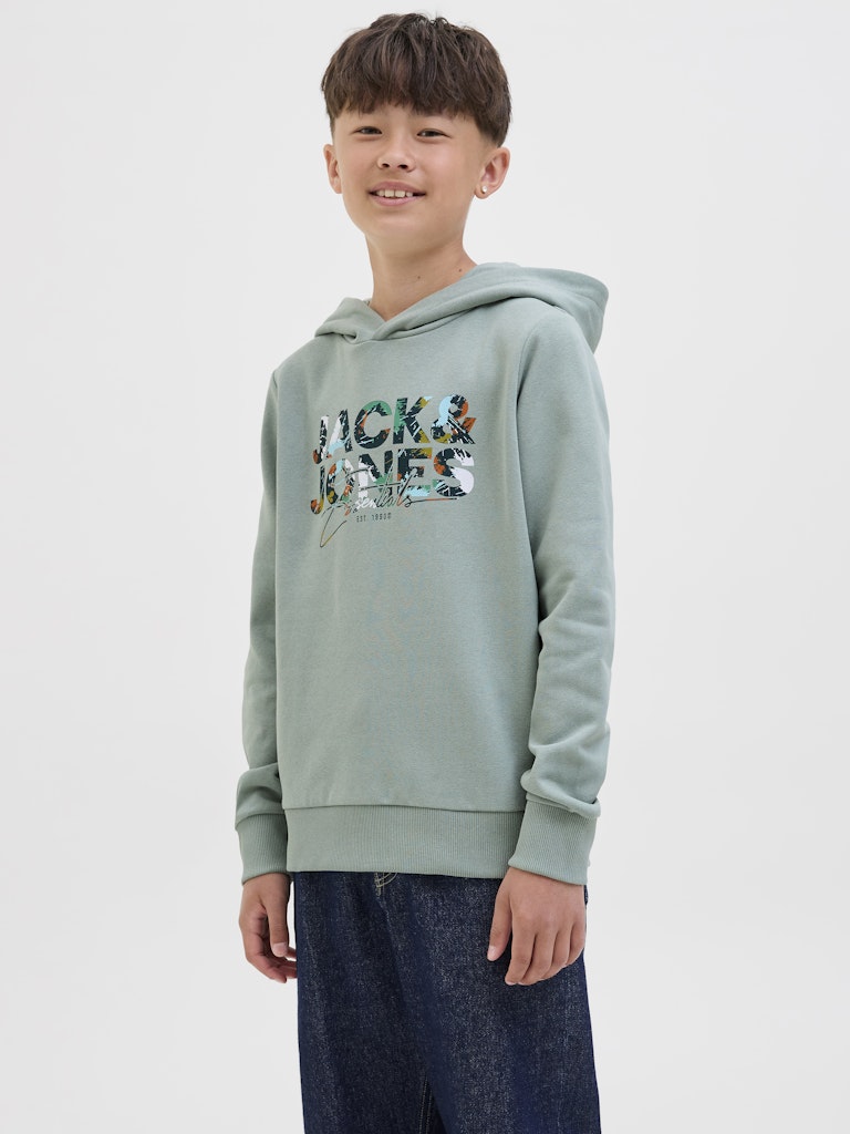 Jack & Jones Jungen Sweats & Sweatjacken Iceberg Green