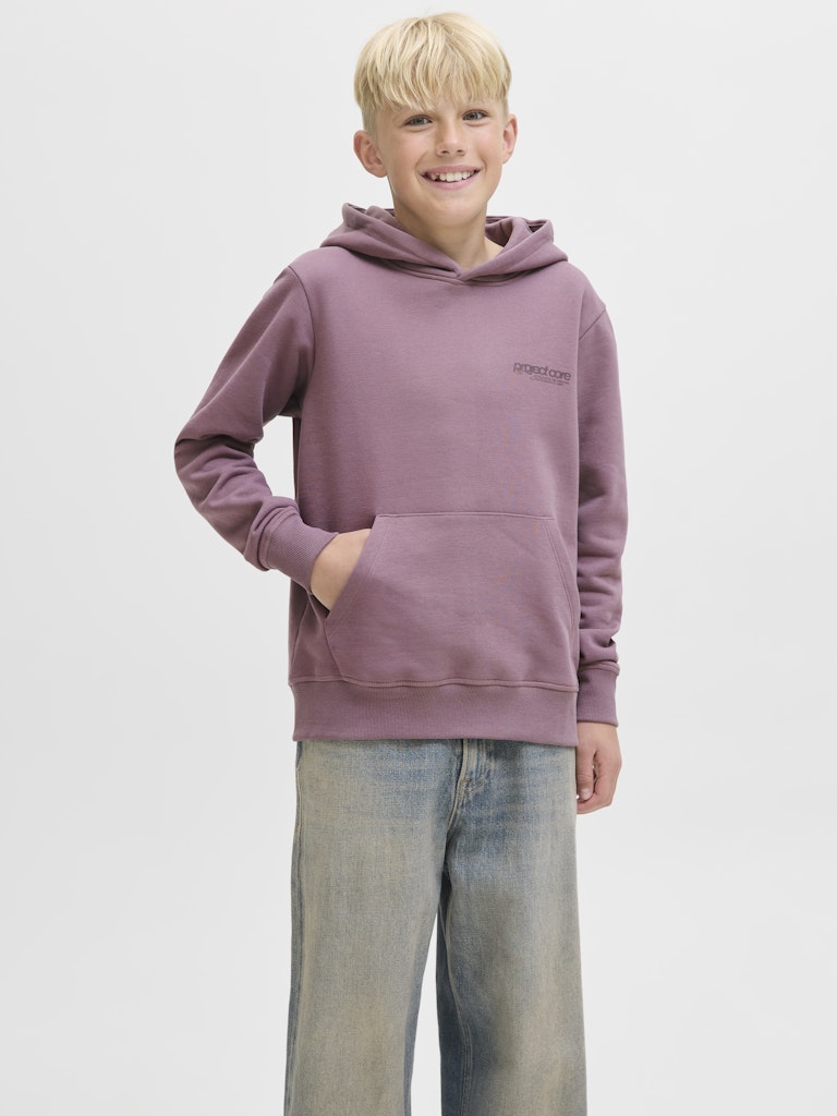Jack & Jones Jungen Sweats & Sweatjacken Grape Shake