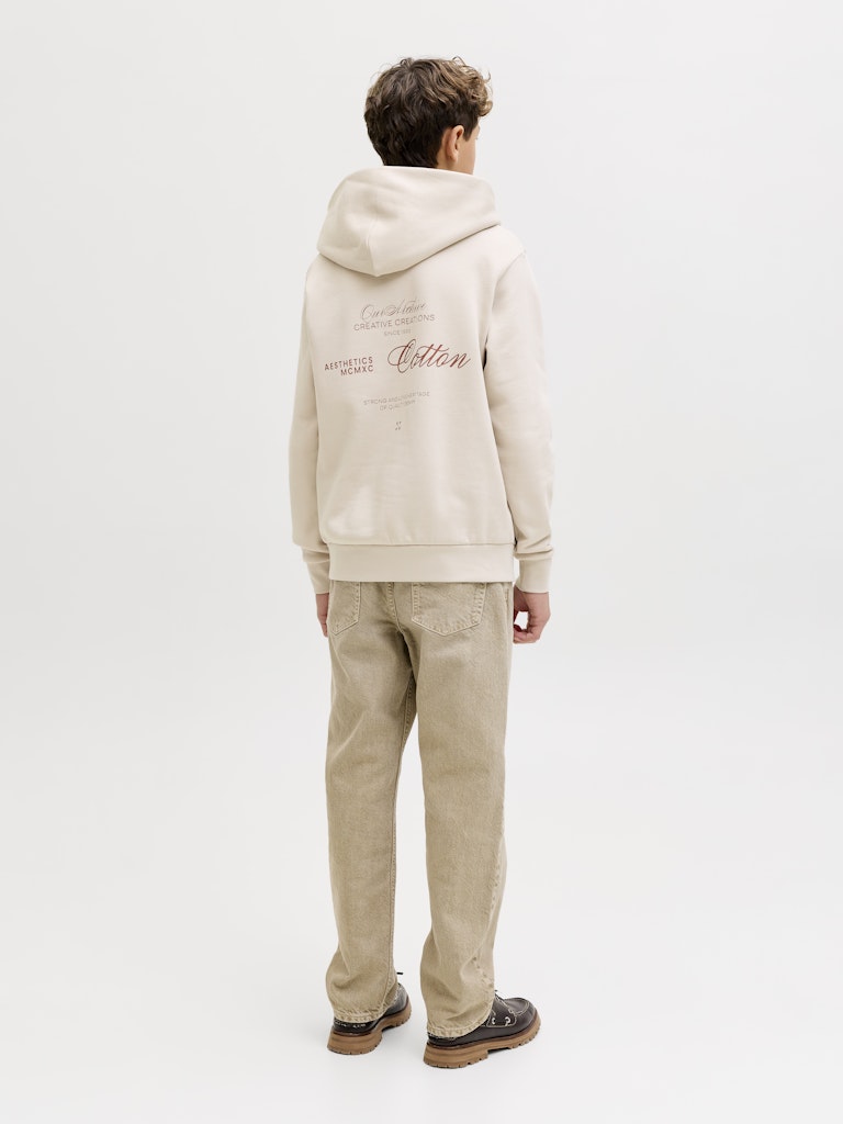 Jack & Jones Jungen Sweats & Sweatjacken Moonbeam
