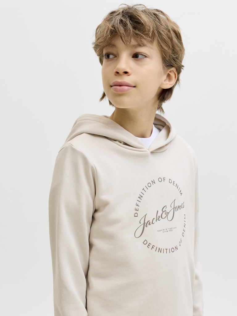 Jack & Jones Jungen Sweats & Sweatjacken Moonbeam
