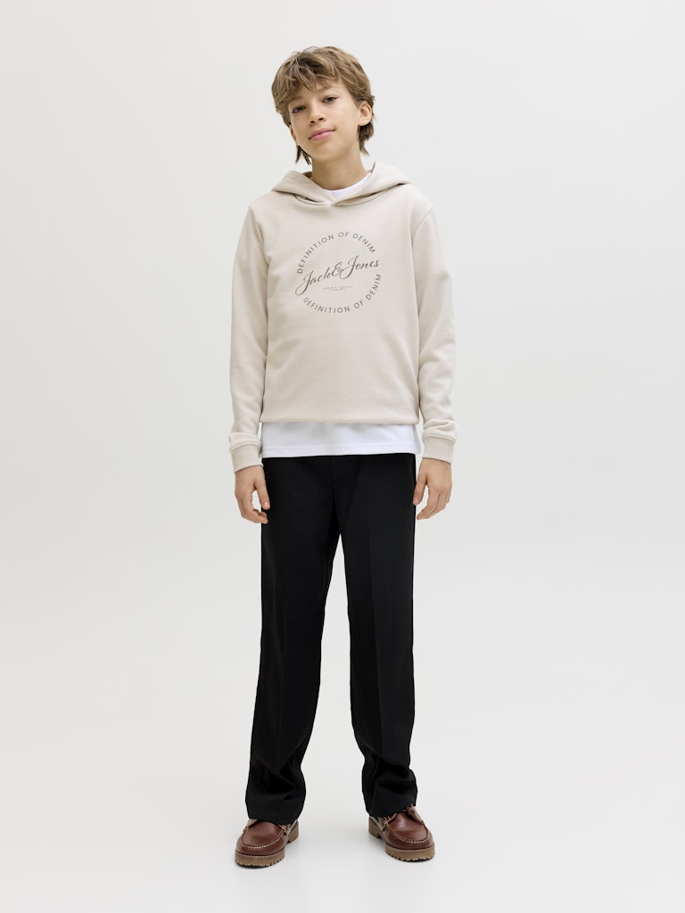 Jack & Jones Jungen Sweats & Sweatjacken Moonbeam