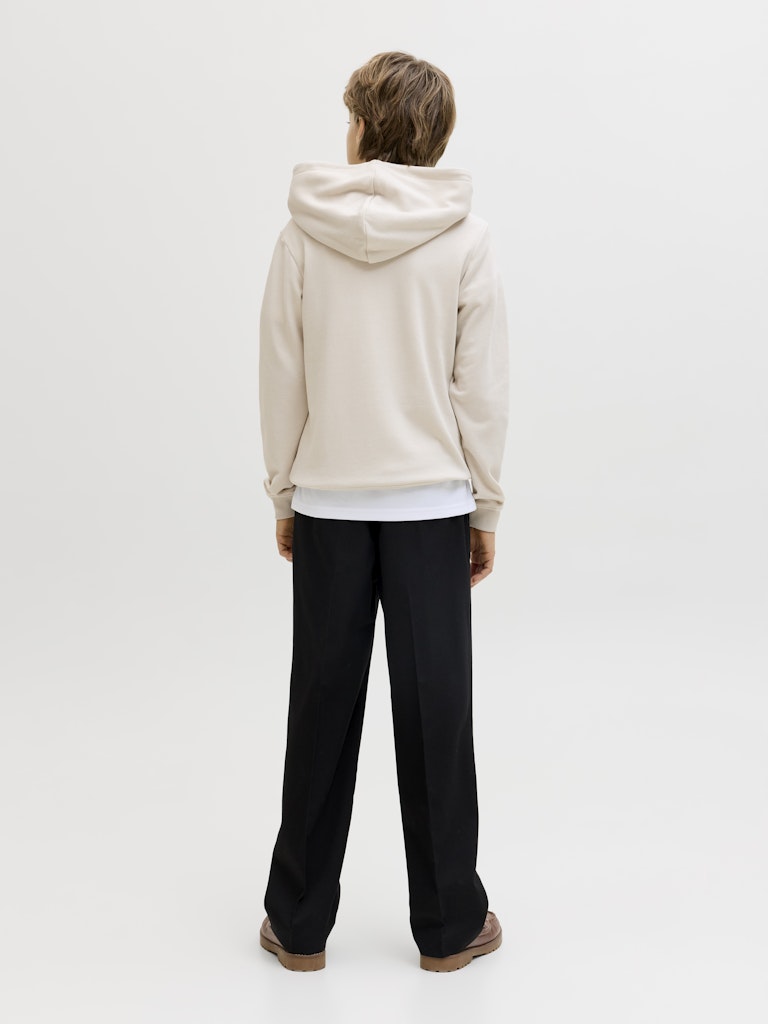 Jack & Jones Jungen Sweats & Sweatjacken Moonbeam