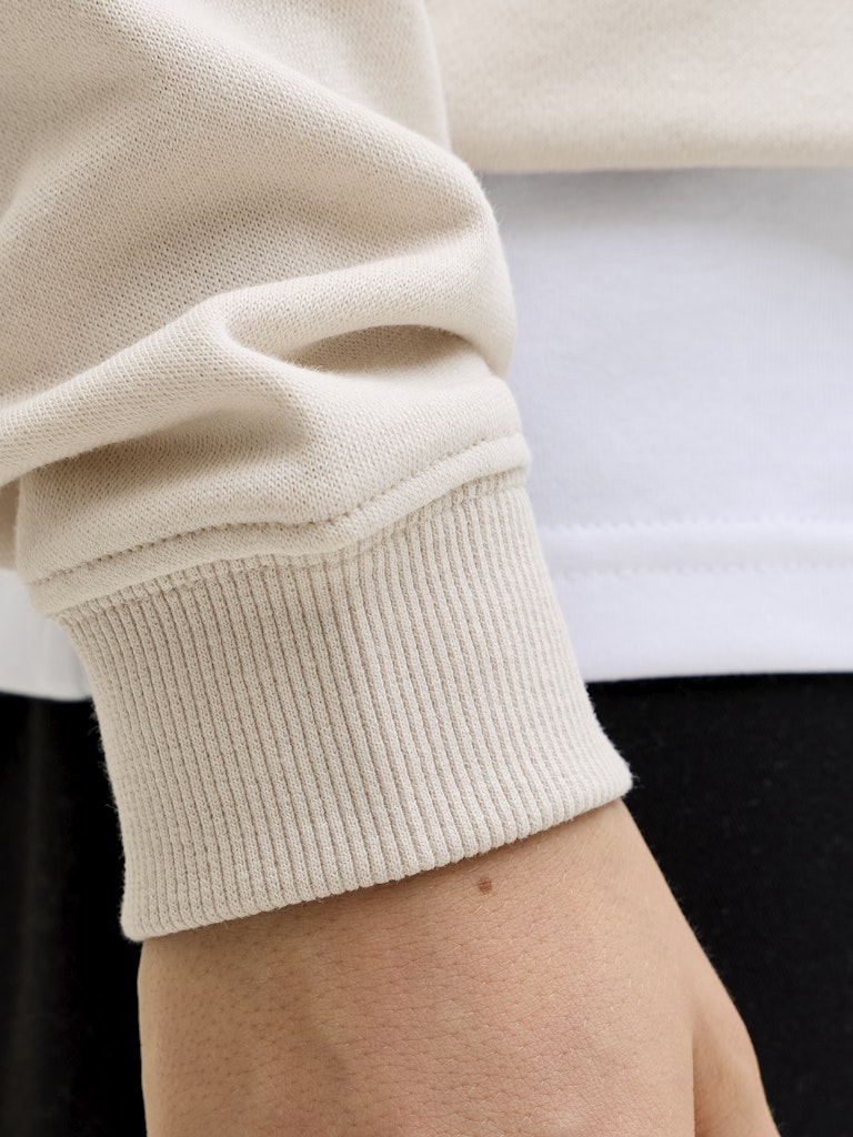 Jack & Jones Jungen Sweats & Sweatjacken Moonbeam