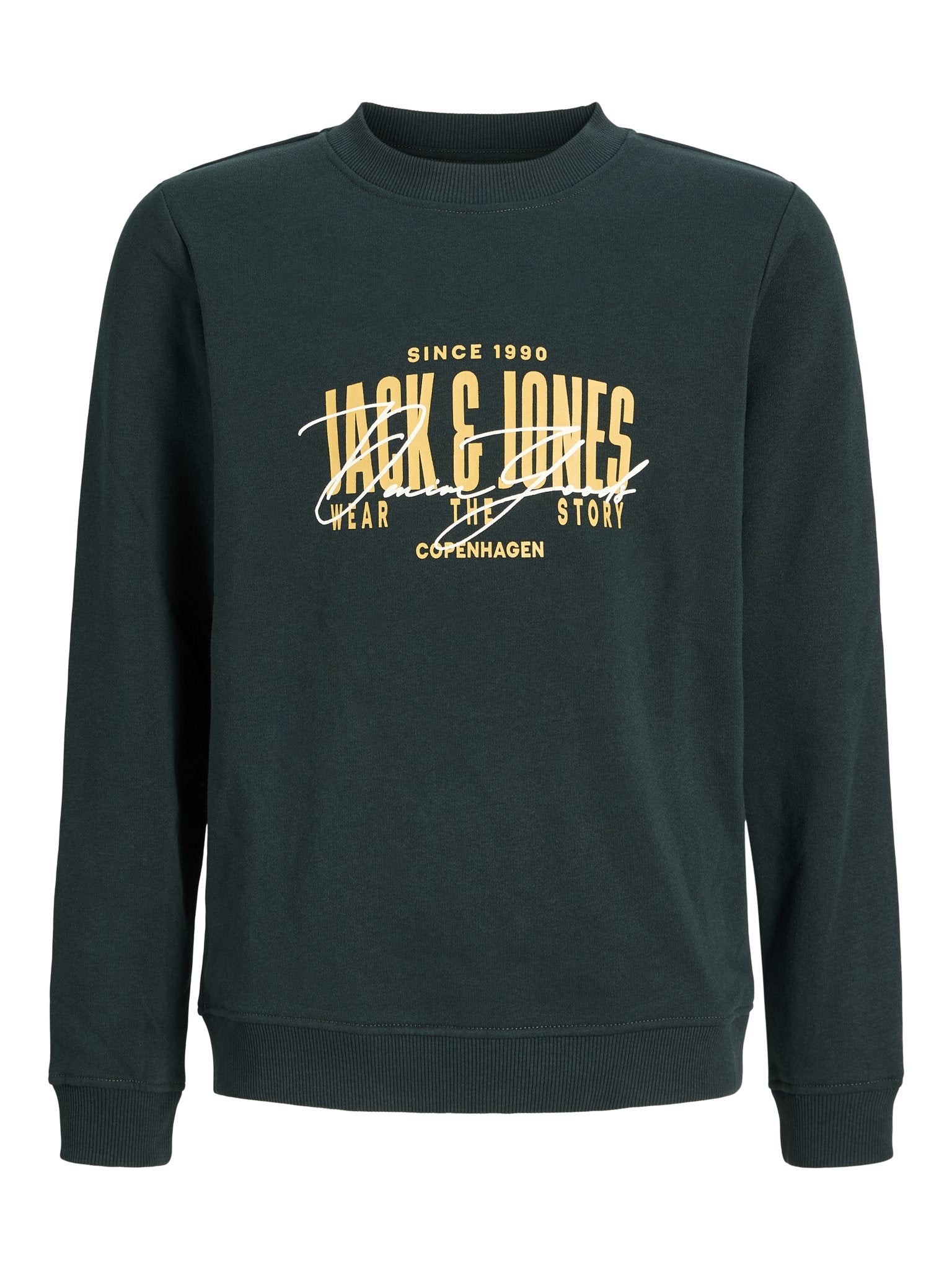 Jack & Jones Jungen Sweats & Sweatjacken Scarab/Big Prin