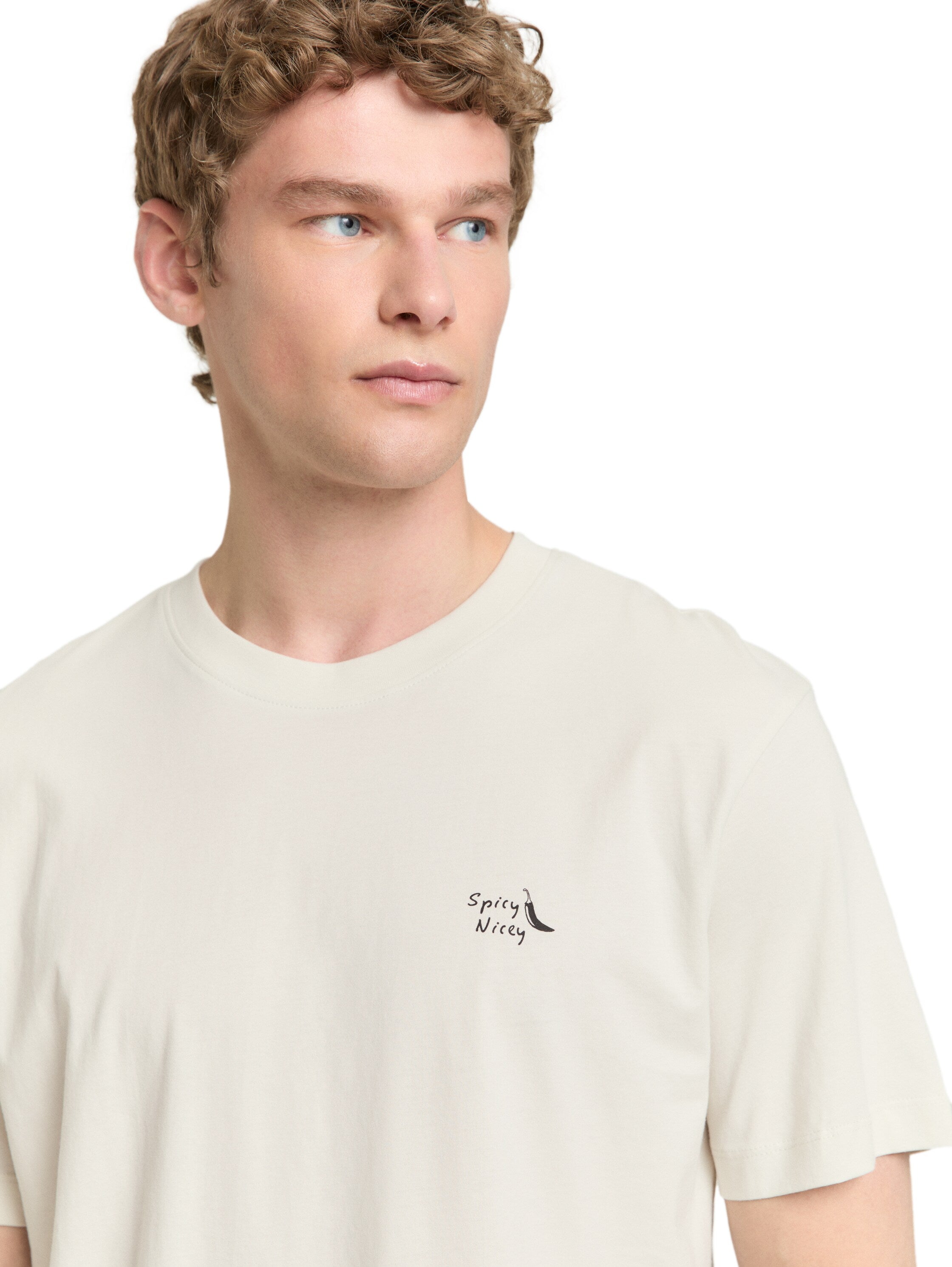 Tom Tailor denim Herren T-Shirts kurz Greyish White