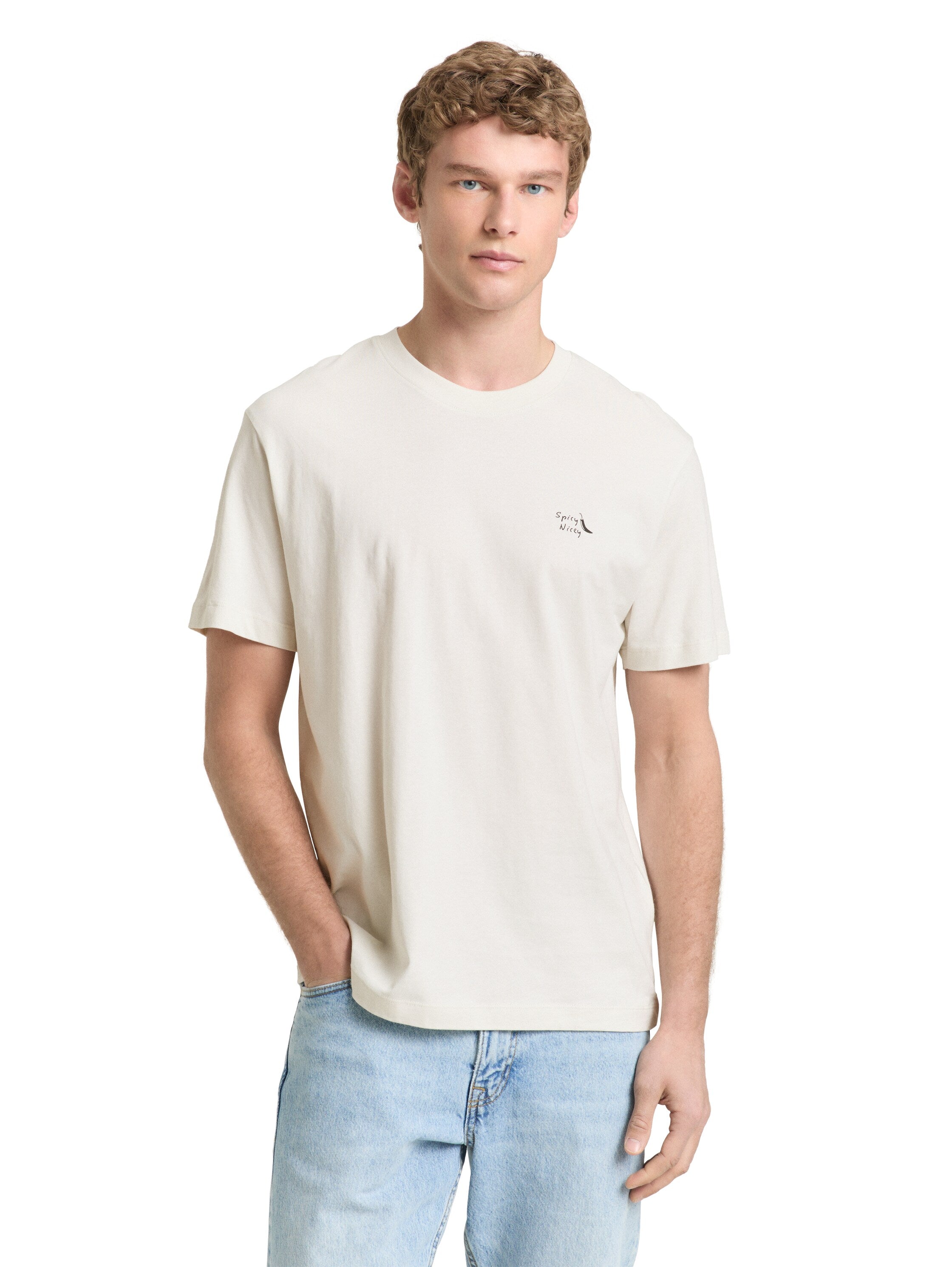 Tom Tailor denim Herren T-Shirts kurz Greyish White