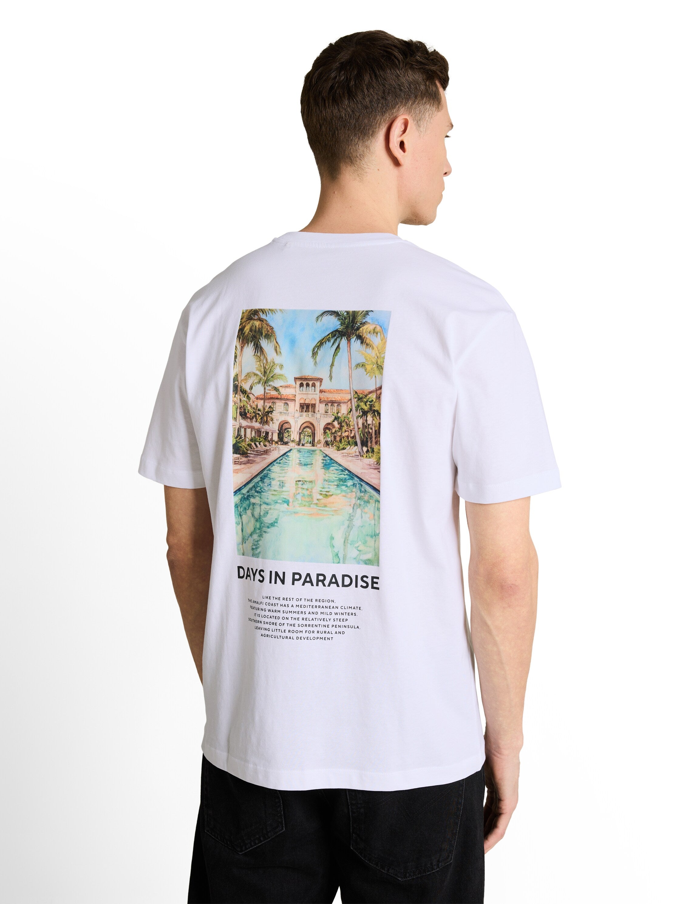 Tom Tailor denim Herren T-Shirts kurz White