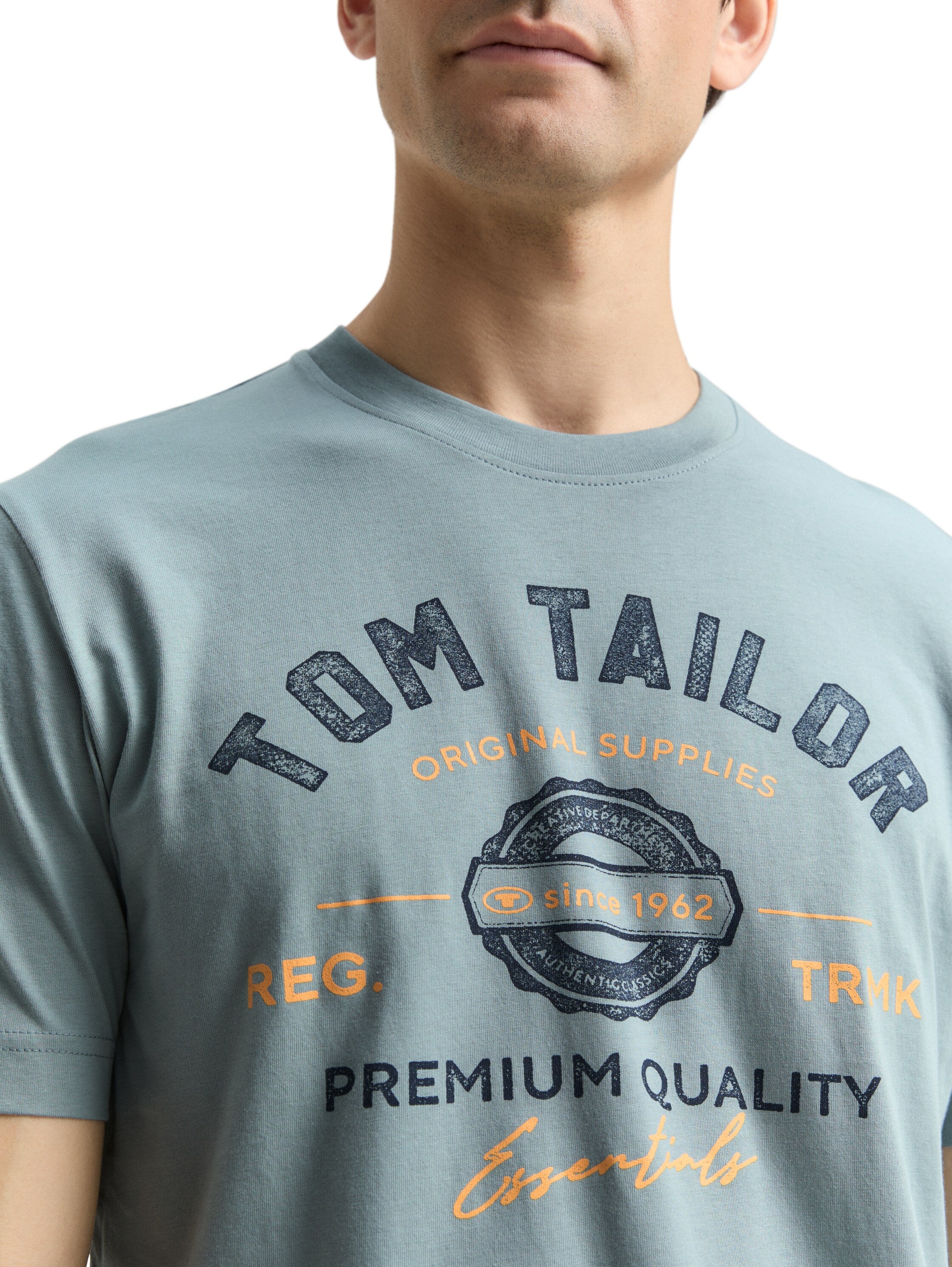 Tom Tailor Herren T-Shirts kurz Grey Mint