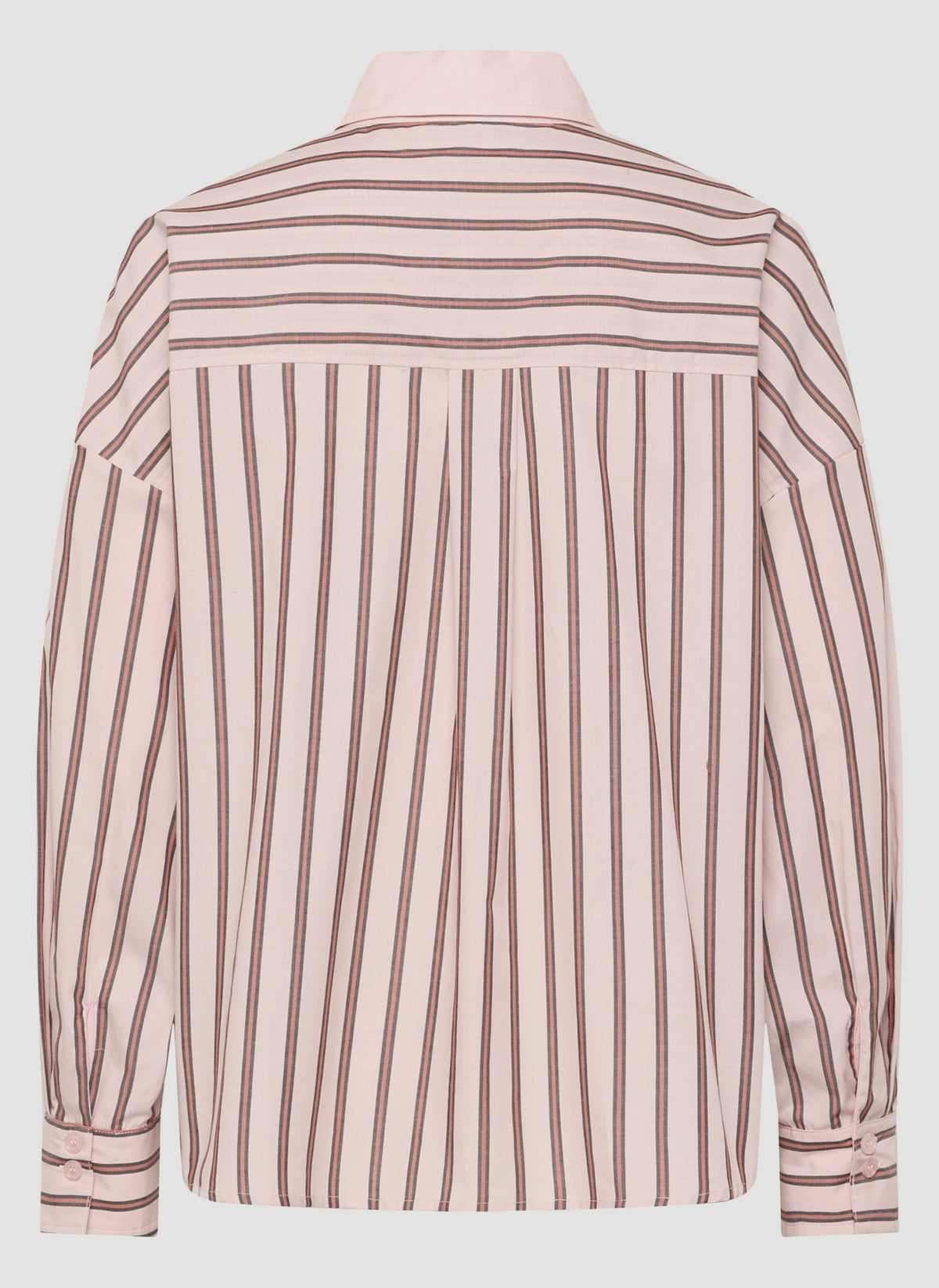 Le Comte Damen Blusen Puder