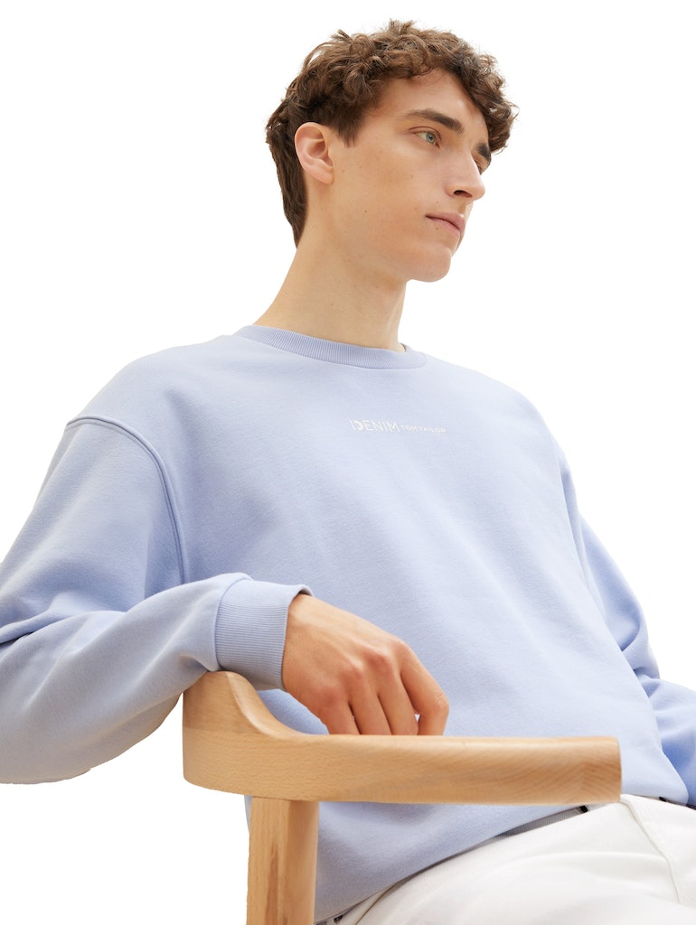 Tom Tailor denim Herren Sweatshirts Brunnera Blue