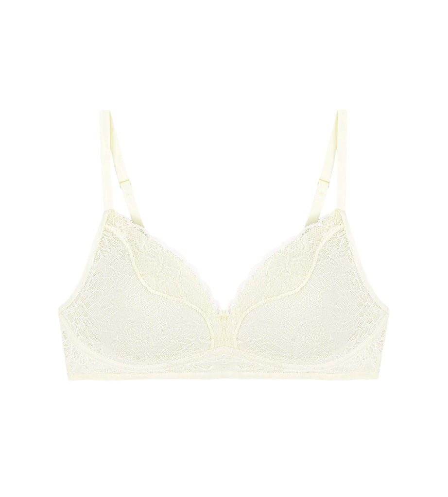 Triumph BH  Chrysanthe