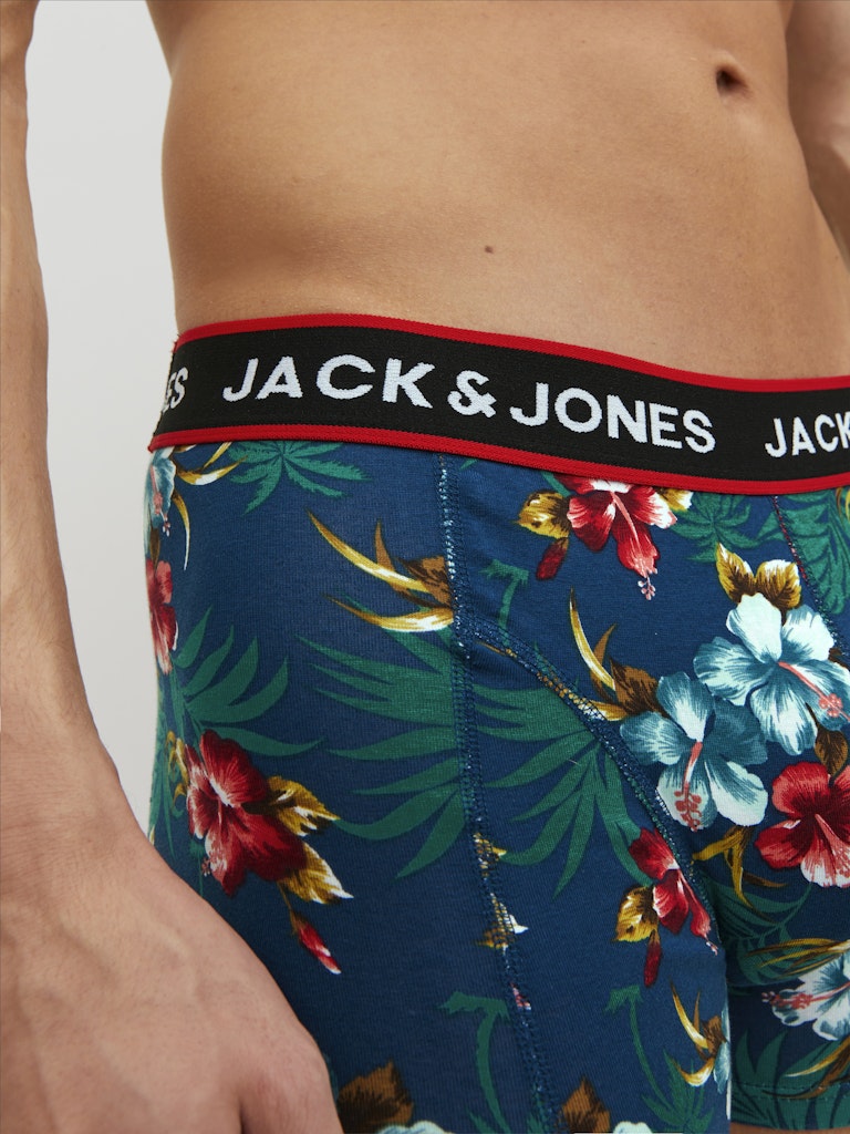 Jack & Jones Herren Wäsche Black/Bardaboes