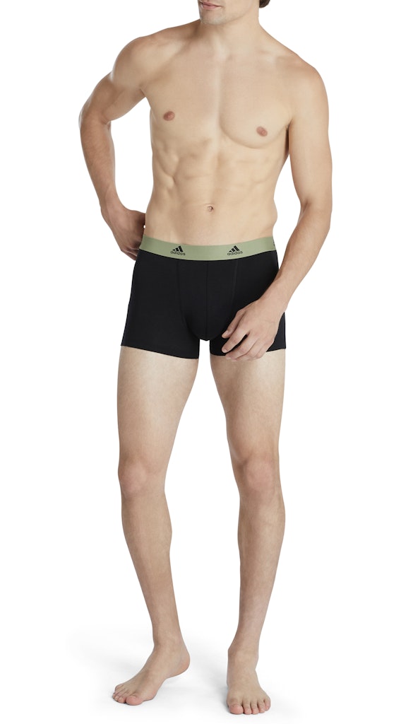 Adidas Pant  Assorted