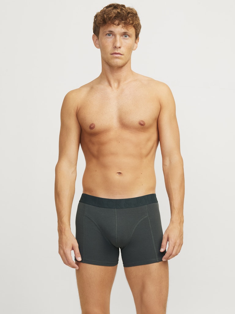 Jack & Jones Herren Wäsche Forest Night/Gl