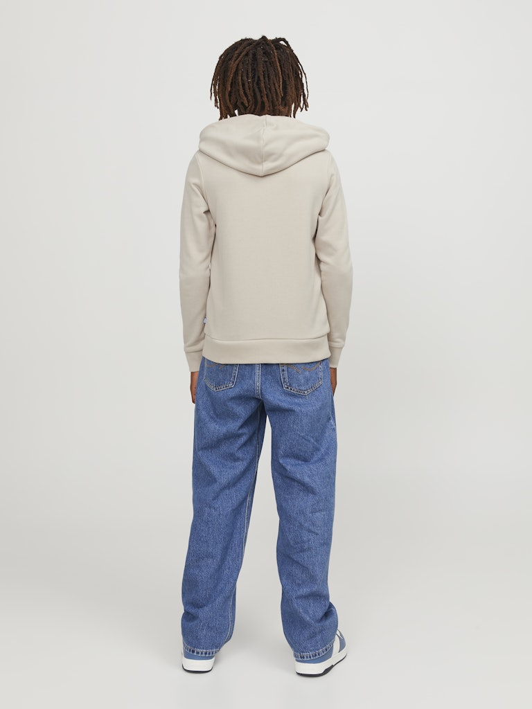 Jack & Jones Jungen Sweats & Sweatjacken Moonbeam