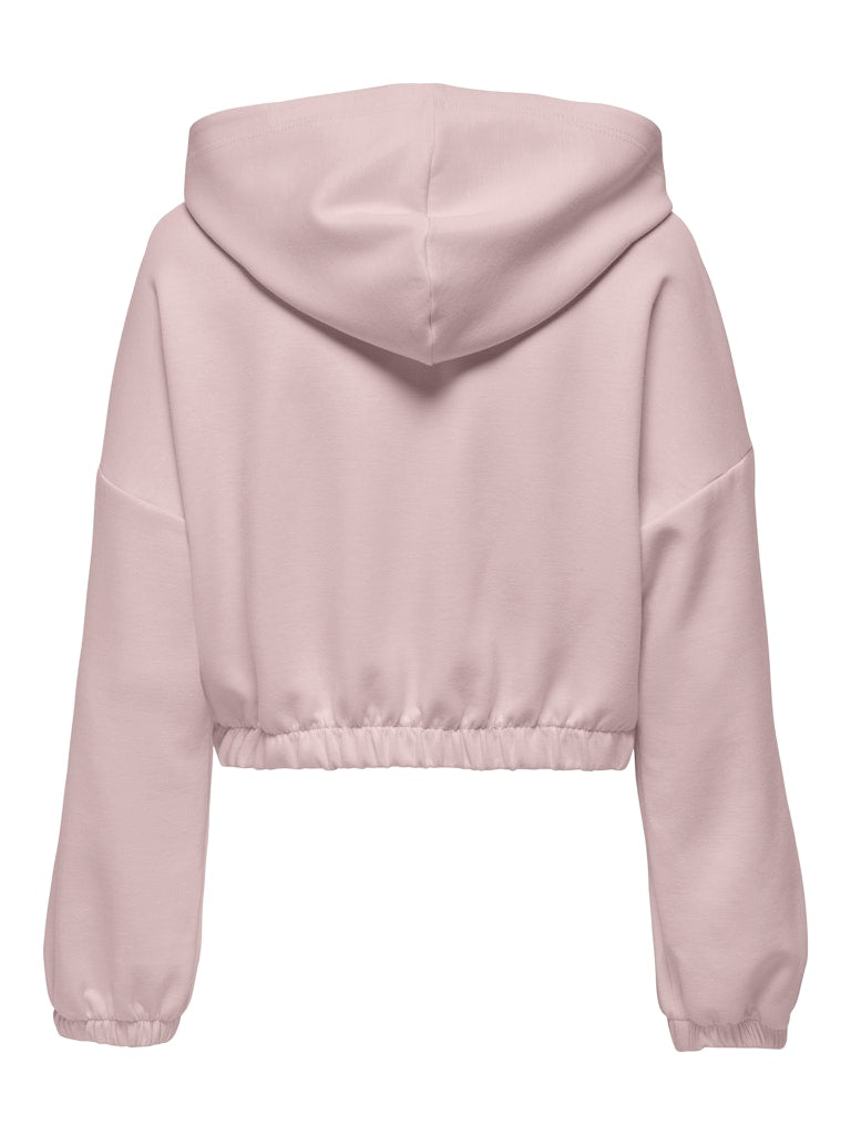 Only Damen Sweatshirts Violet Ice