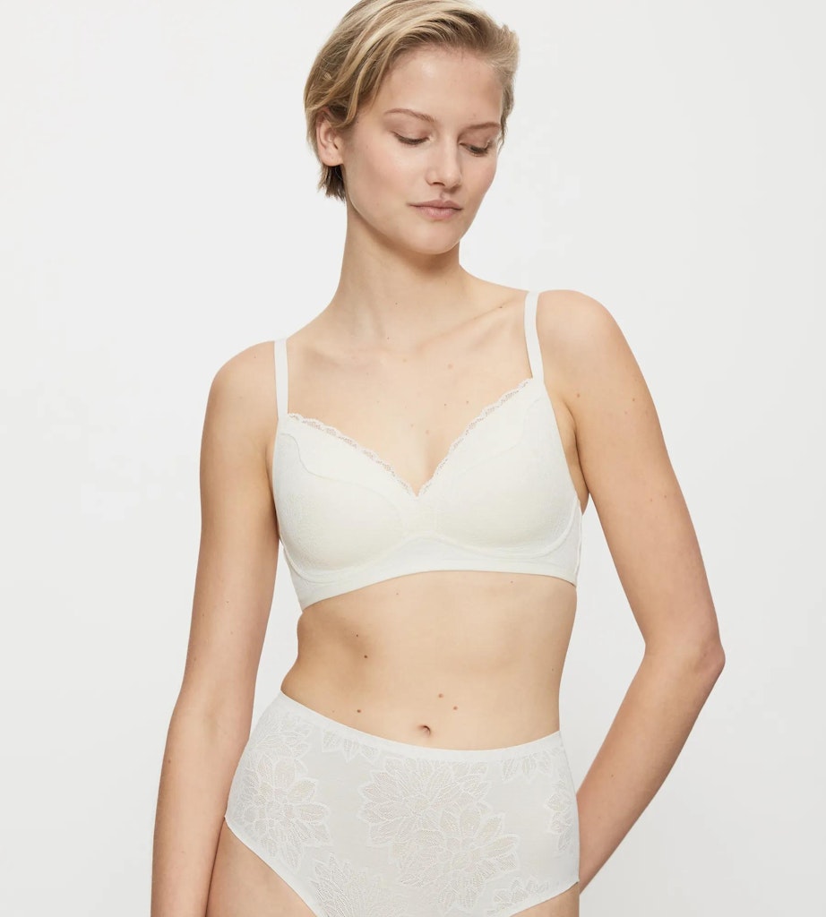 Triumph BH  Chrysanthe