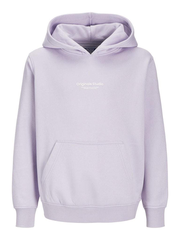 Jack & Jones Jungen Sweats & Sweatjacken Cosmic Sky