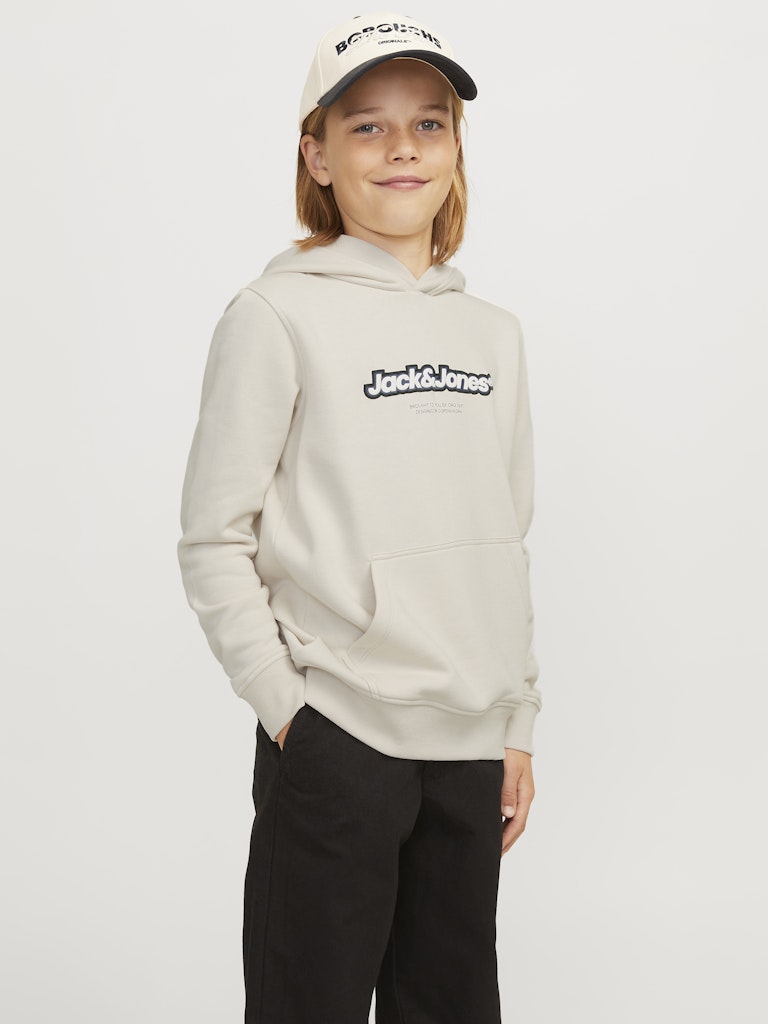 Jack & Jones Jungen Sweats & Sweatjacken Moonbeam/Jj