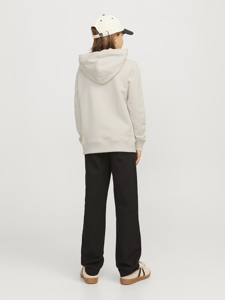 Jack & Jones Jungen Sweats & Sweatjacken Moonbeam/Jj