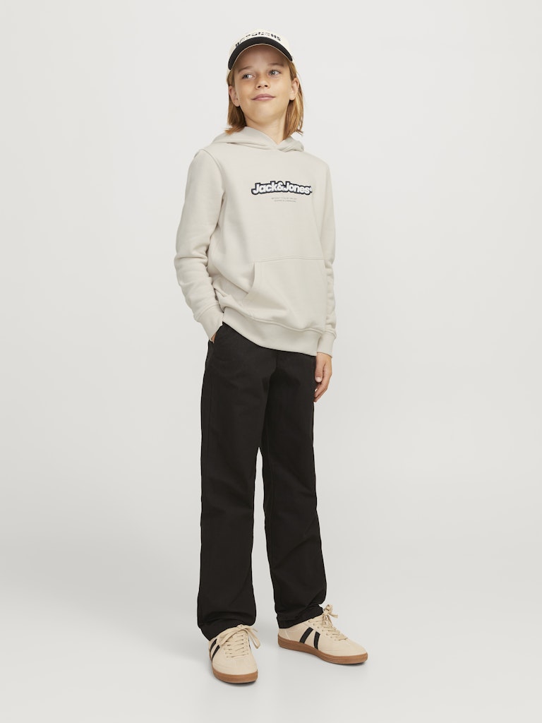 Jack & Jones Jungen Sweats & Sweatjacken Moonbeam/Jj