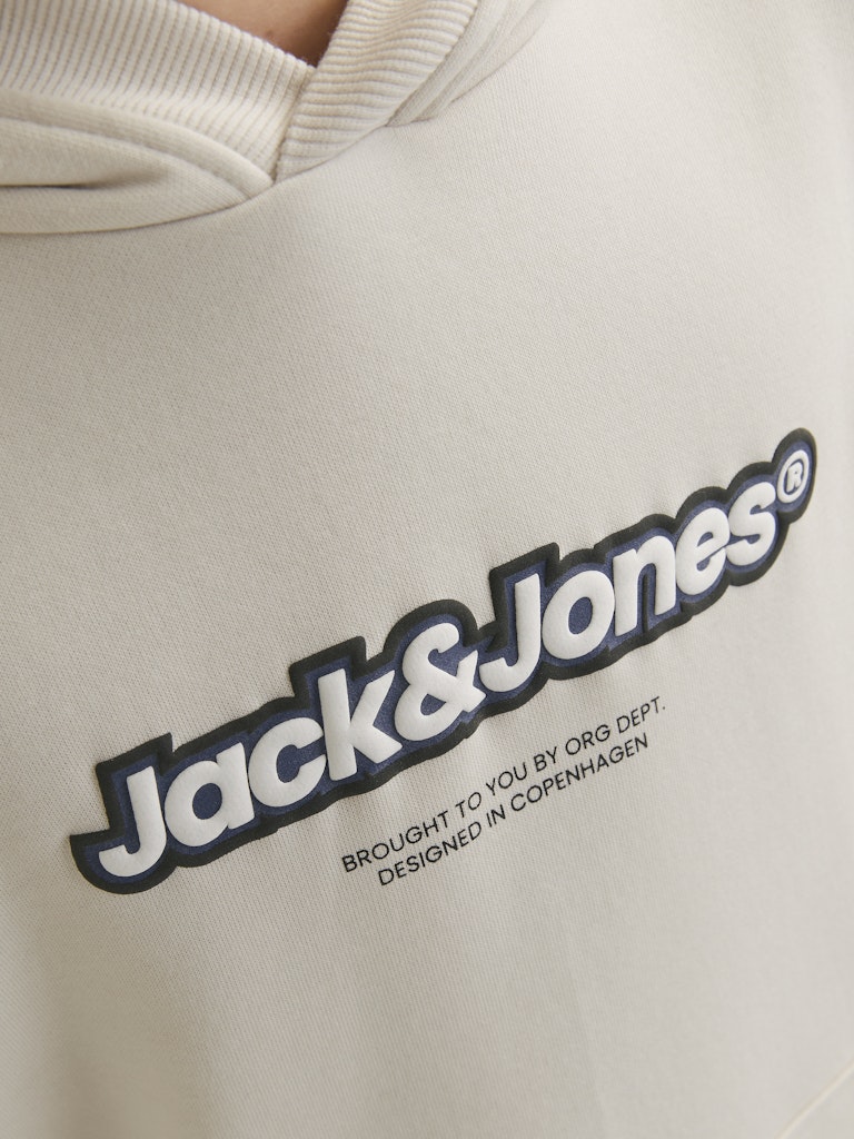 Jack & Jones Jungen Sweats & Sweatjacken Moonbeam/Jj