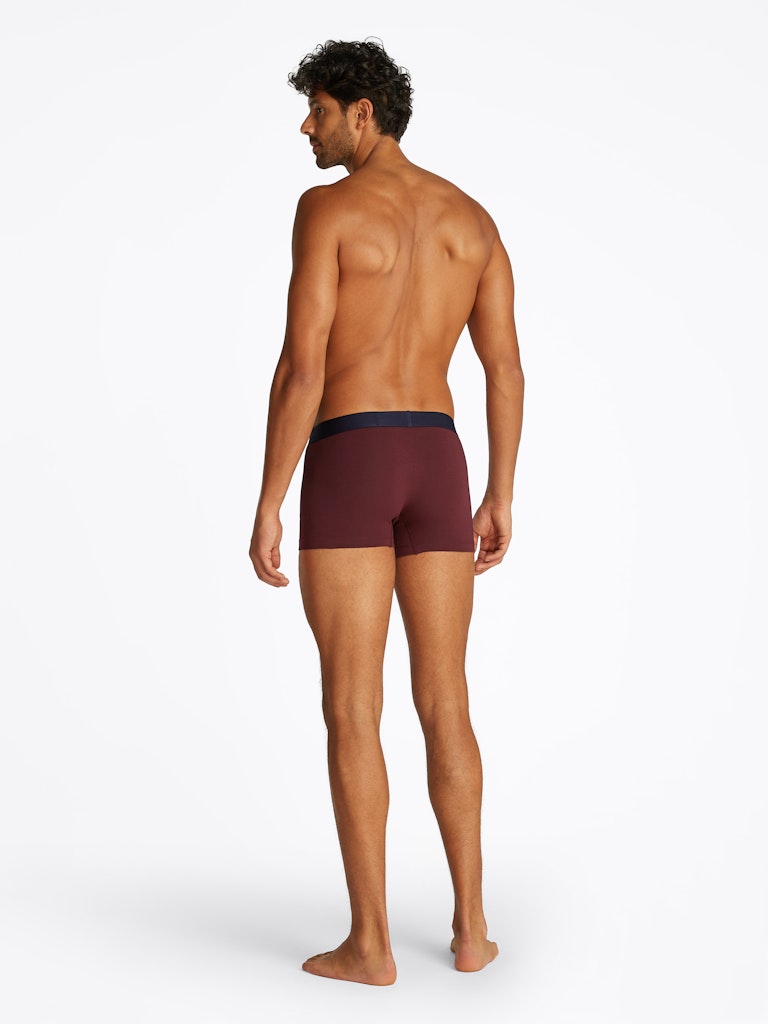 Tommy Hilfiger Pant Vlp Purple
