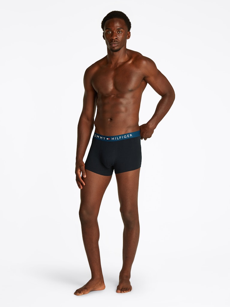 Tommy Hilfiger Pant Tv Blue