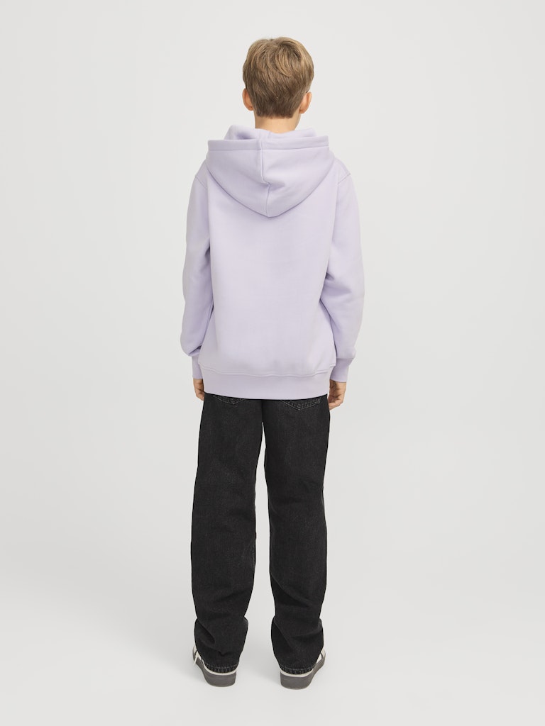 Jack & Jones Jungen Sweats & Sweatjacken Cosmic Sky