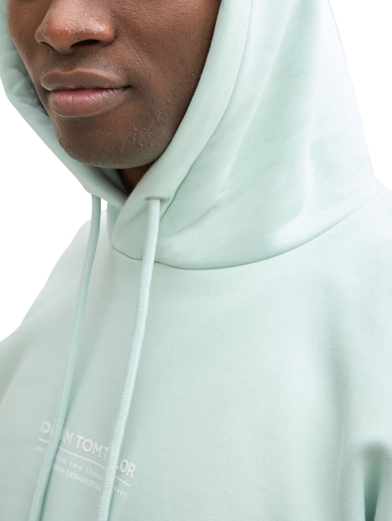Tom Tailor denim Herren Sweatshirts Sea Foam