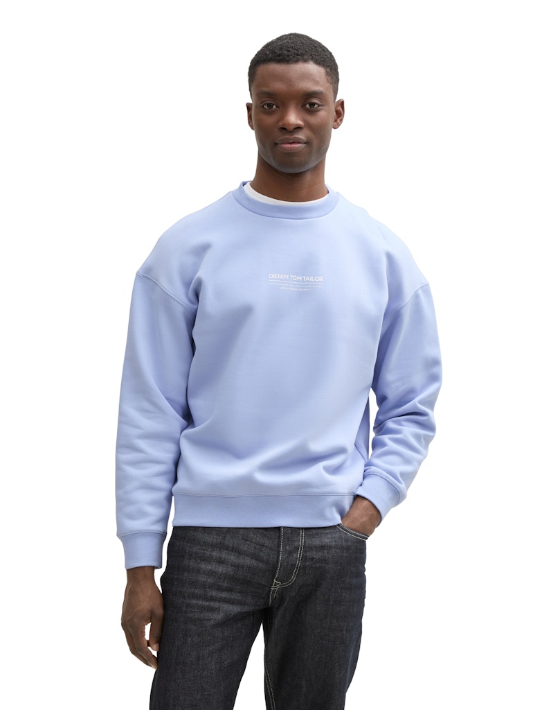 Tom Tailor denim Herren Sweatshirts Brunnera Blue