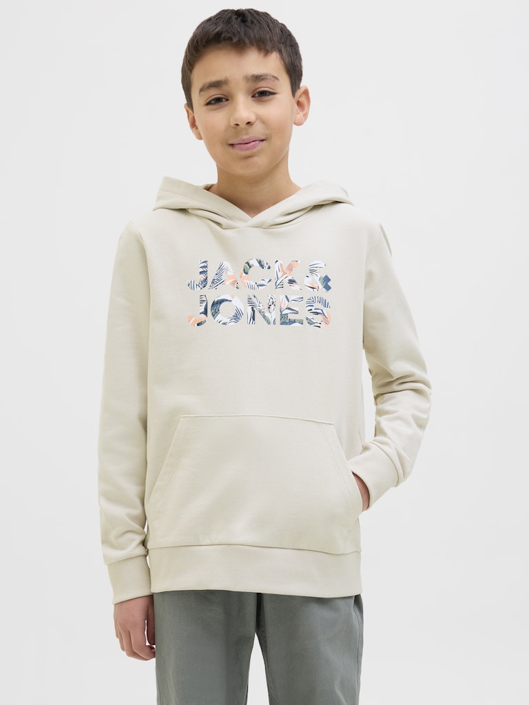 Jack & Jones Jungen Sweats & Sweatjacken Moonbeam